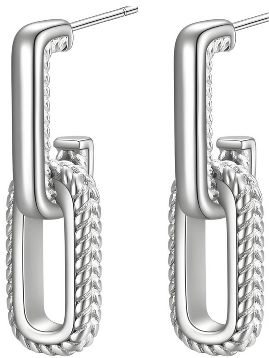 Stainless steel earrings