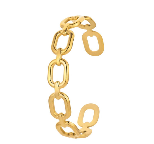 Paper clip ring
